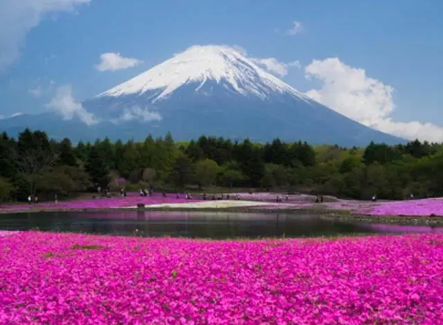 Los mejores lugares para ir en Japón