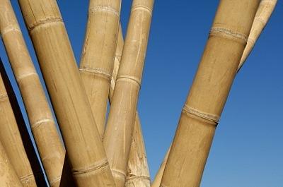 Barras de Cortina de Bambú: Guía Básica y Dónde Encontrarlas