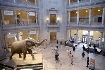 Museo Smithsonian de Historia Natural
