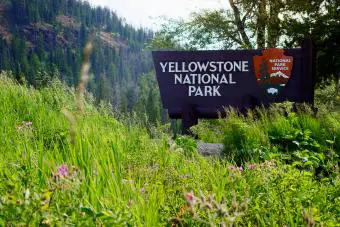 Cartel de bienvenida del Parque Nacional de Yellowstone rodeado de bosques y montañas rocosas
