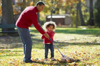 padre e hija rastrillando otoño hojas