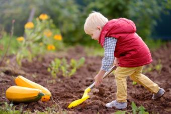 niño limpiando el jardín para el otoño
