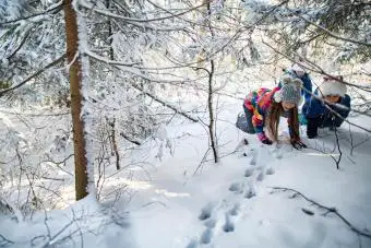 Los niños rastrearon huellas de animales en el bosque de invierno