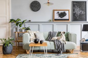 Elegante diseño de interiores de sala de estar con sofá moderno de menta