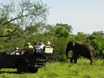 Safari africano
