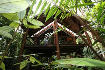 The Canopy Rainforest Tree Houses y Wildlife Sanctuary Treehouse