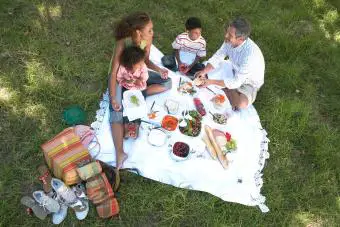 familia en picnic