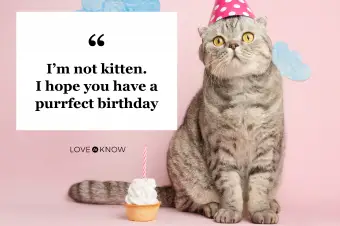 Saludos de cumpleaños de un gato