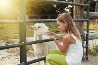 Chica acariciando una cabra en la granja