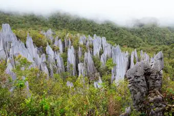 Pináculos de piedra caliza en gunung mulu 