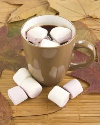 malvaviscos de chocolate caliente;  Derechos de autor Usynina en Dreamstime.com 
