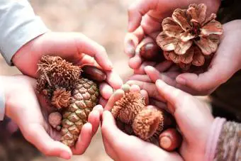 Ver arriba mano niños sosteniendo frutas del bosque
