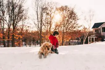 Niño jugando en la nieve con su perro dorado recuperando