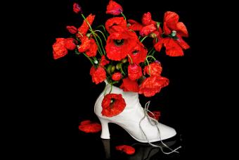 Flores de amapola en un jarrón con forma de zapato