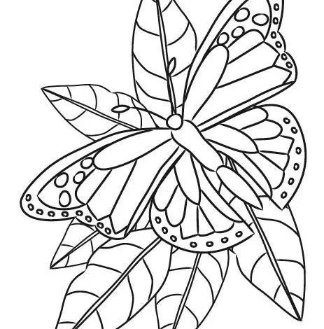 Dibujo de mariposa para imprimir gratis