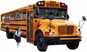 Reglas de seguridad del autobús escolar