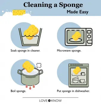Limpiar una esponja es fácil Infografía