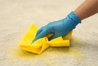 Mujer con guantes azules limpiando la alfombra