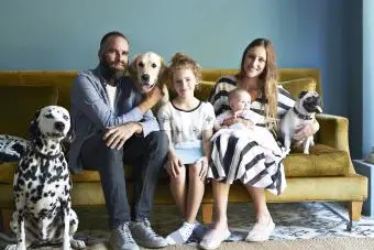 Familias sentadas juntas en un sofá con sus perros.