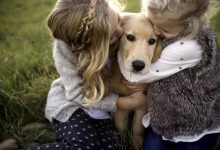 5 buenas mascotas para los niños y cómo elegir la adecuada