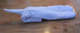 paso 4 toalla gato