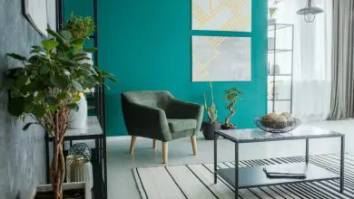5 consejos clave para usar plantas de interior en la decoración del hogar