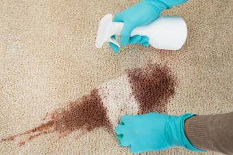 Limpieza manual de vino tinto caído en la alfombra en casa
