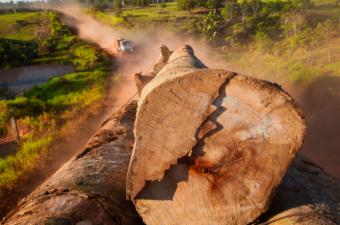 deforestacion en amazonas