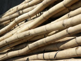 construcción de bambú
