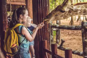 Feliz madre e hijo viendo y alimentando jirafas en el zoológico