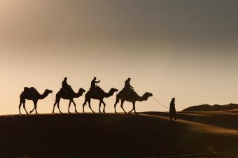 https://cf.ltkcdn.net/life/lifestyle/images/slide/341994-850x567-desert-camel-ride-920044142.jpg