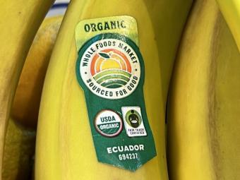 https://cf.ltkcdn.net/home/sustainability/images/slide/342716-850x638-organic-bananas-1483135457.jpg